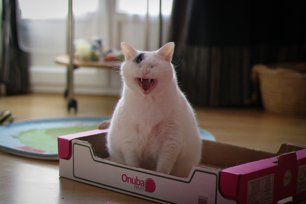 五大联赛中场能否胜过边路冲击效能,五大联赛主场优势