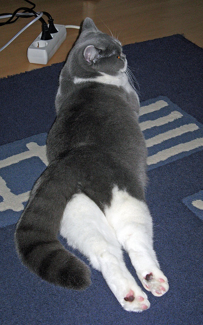 全运会场馆建设高标准完成,全运会场馆设置