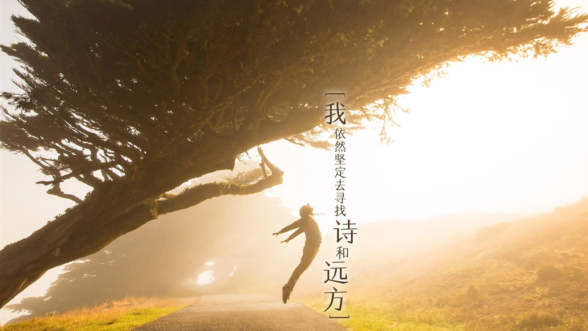 CBA推动联赛节日主题日打造观赛新体验,cba联赛日程安排表