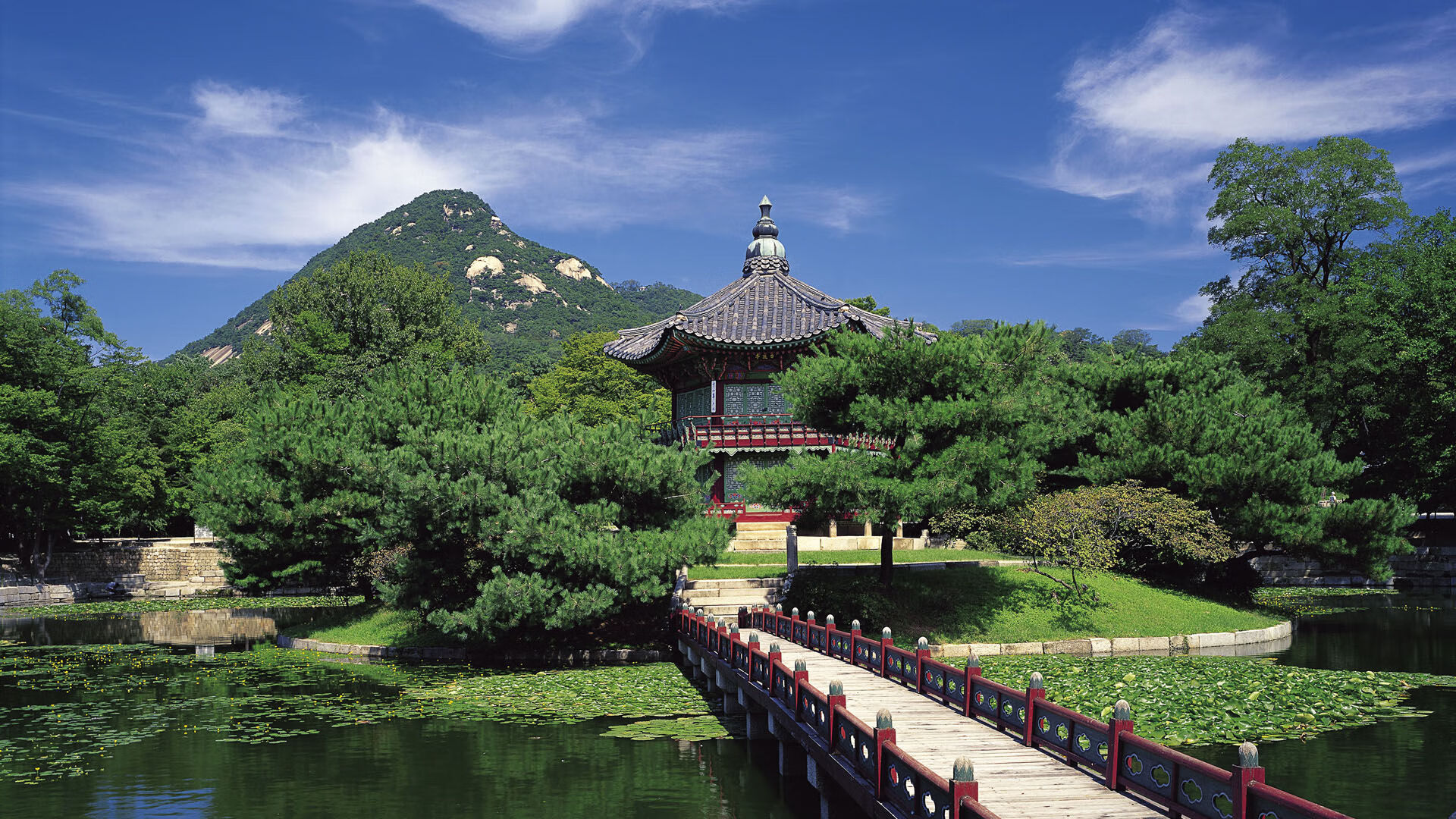 中国女篮强调球场阅读能力增强临场反应,我想了解中国女子篮球队