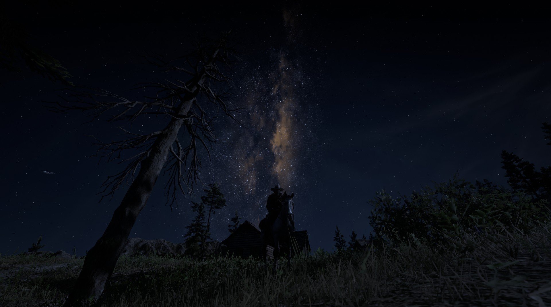 从英格兰男队到女队:橄榄球文化全面崛起,英格兰橄榄球联赛