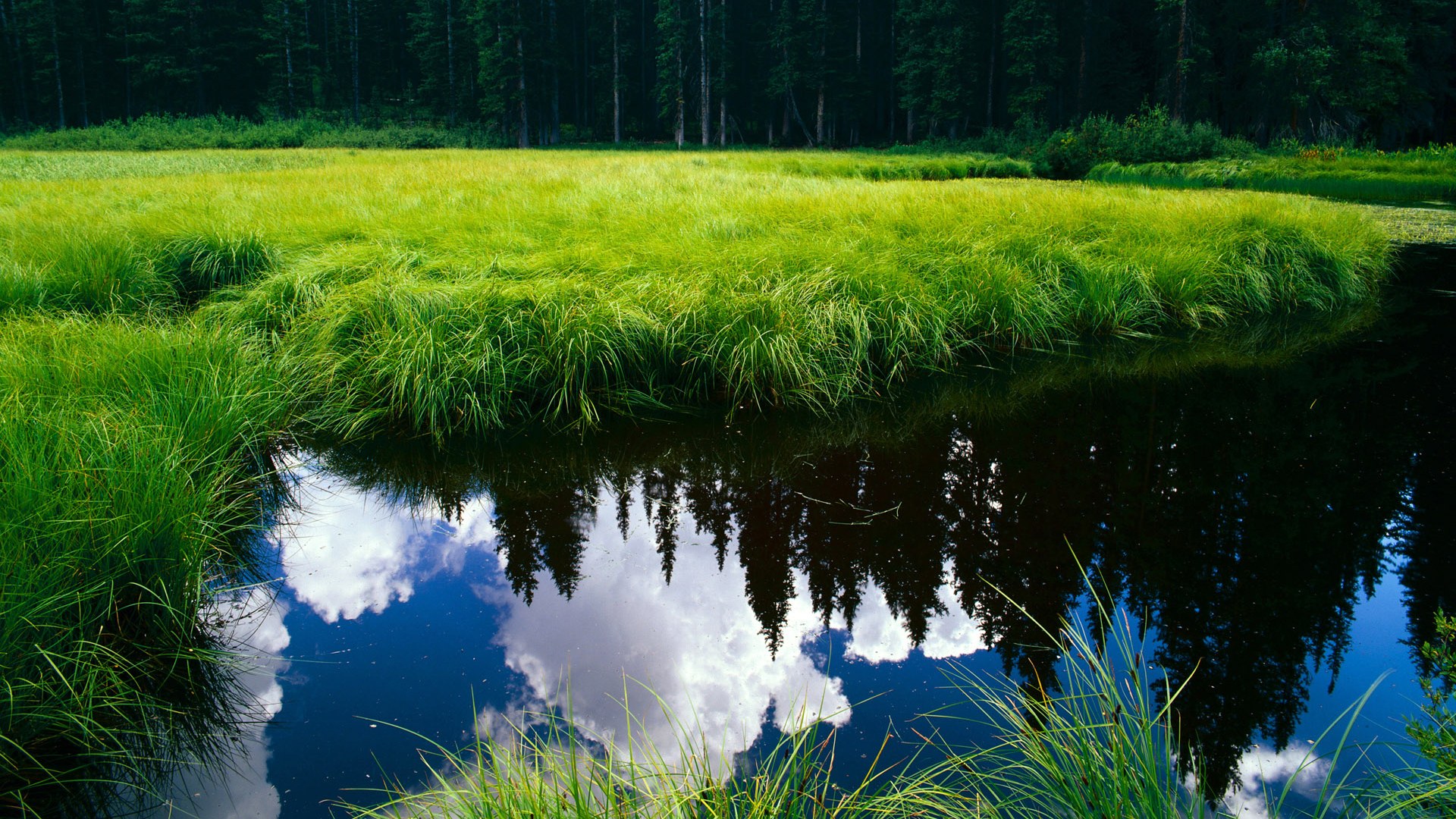 爱游戏体育娱乐-张雨霏获得体育精神奖感谢认可，张雨霏运动员百度百科
