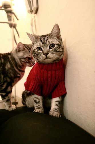 李娜亮相国际网球年会获致敬奖,李娜网球夺冠视频经典比赛