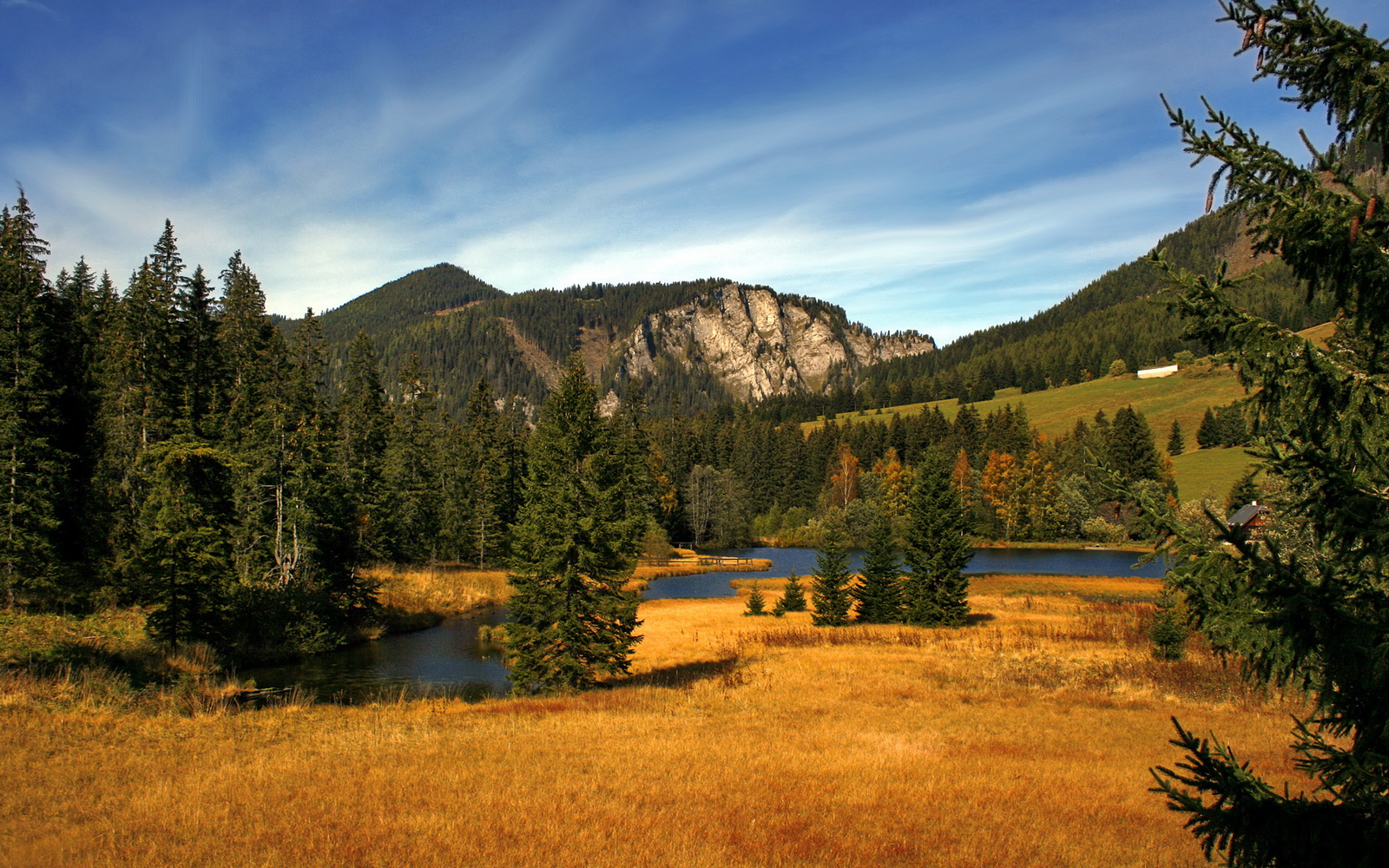 爱游戏下载-蛙泳新星摩纳哥刷新赛季最佳，摩西蛙泳视频